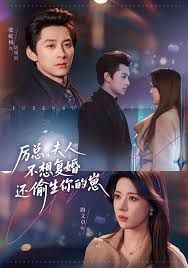 厉总，夫人不想复婚还偷生你的崽(全集)