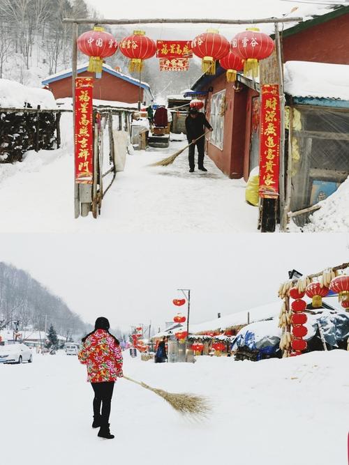 东北不冷(全集)